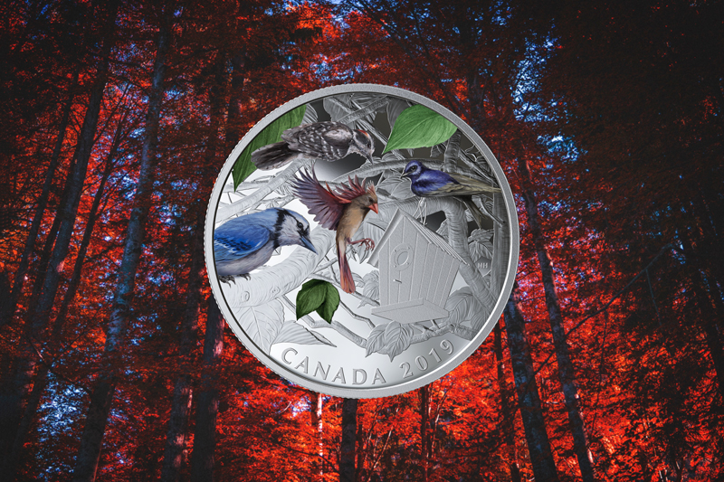 On your next neighbourhood walk keep your eyes peeled for these birds. The fun facts on this activity should help you find them.  Once you spot them all, colour each one as you saw them in the wild