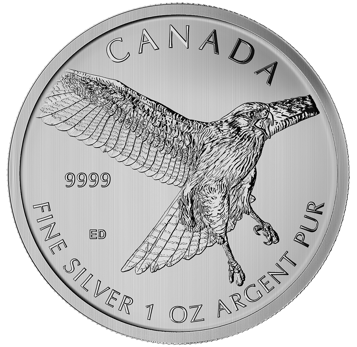 2015 1 oz. 99.99% Pure Silver "Birds of Prey" Coin 3: Red-tailed Hawk (Bullion)
