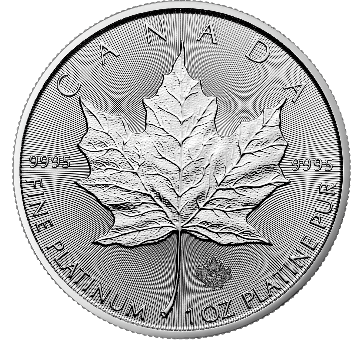 2020 Platinum Maple Leaf Bullion Coin (Bullion)